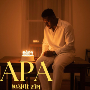 APA artwork