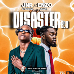 DISASTER REMIX