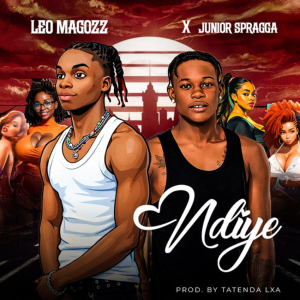 NDIYE artwork
