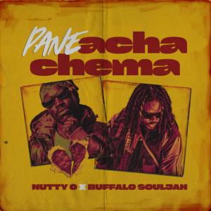 PANE ACHACHEMA artwork