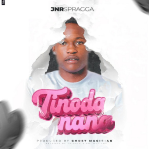 TINODANANA artwork